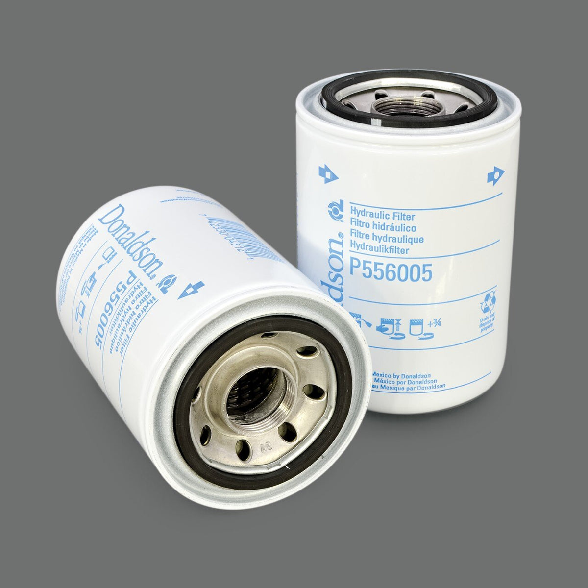 OEM Genie P556005DFS product image 1
