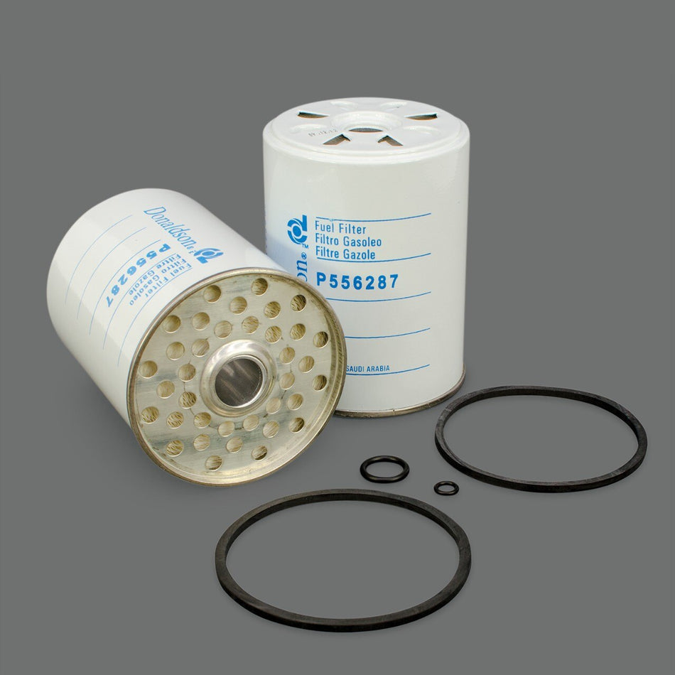 OEM Genie P556287DFS product image 1