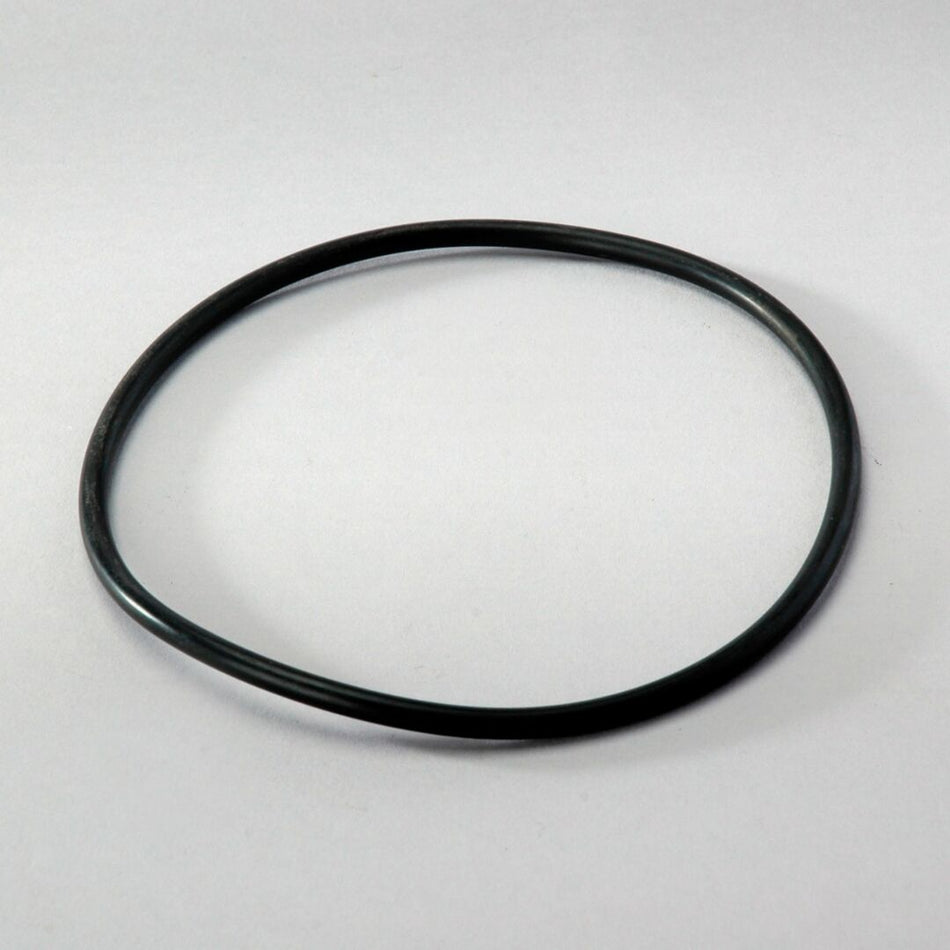 JLG Dsseal P563968 replacement part image