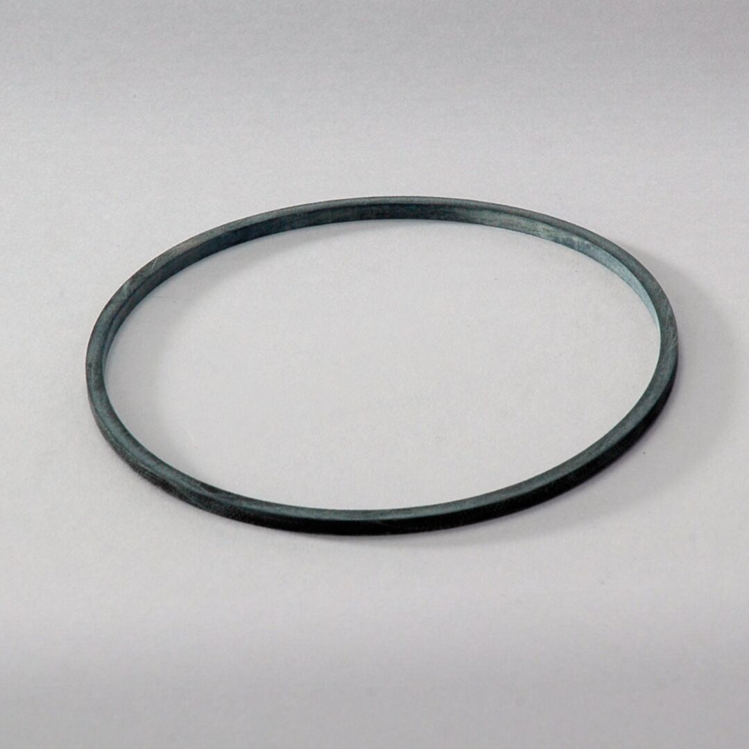 JLG Dsseal P563976 replacement part image