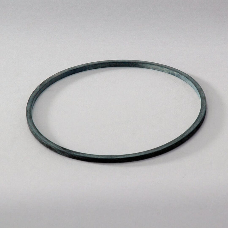 JLG Dsseal P563976 replacement part image