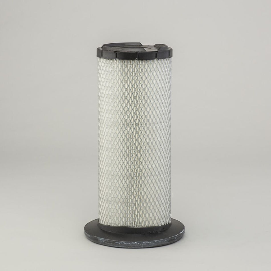 JLG Dsair Filter Safety P609239 replacement part image