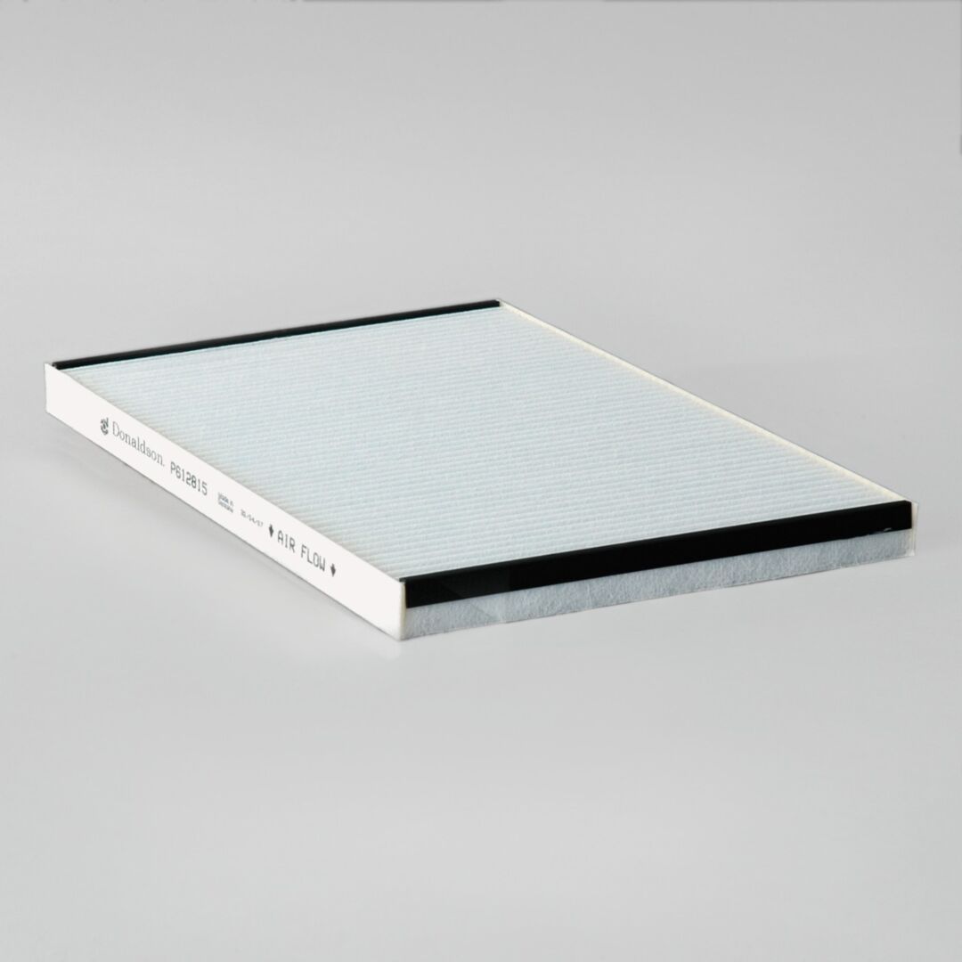 JLG Dsair Filter Panel Ventilat P612815 replacement part image
