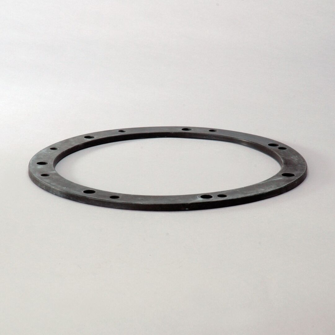 JLG Dsgasketcase Of 5 P616307 replacement part image