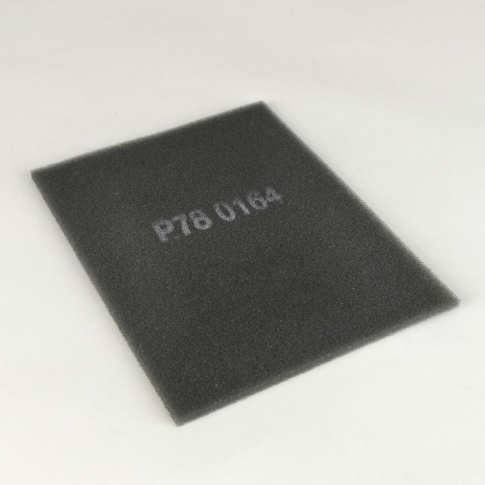 JLG Dsair Filter Primary Specia P780164 replacement part image